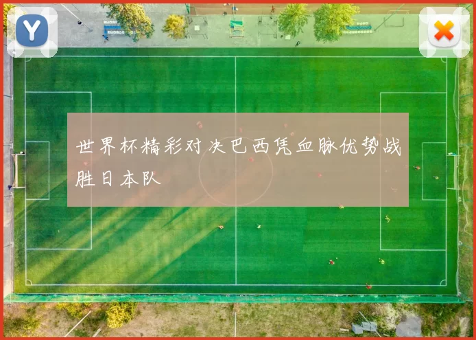 世界杯精彩对决巴西凭血脉优势战胜日本队
